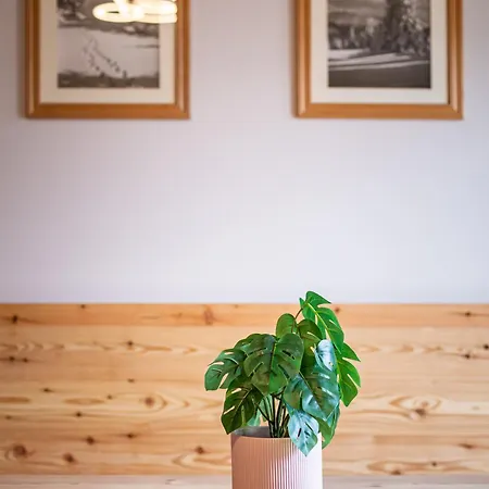 Dorfstudio סול
